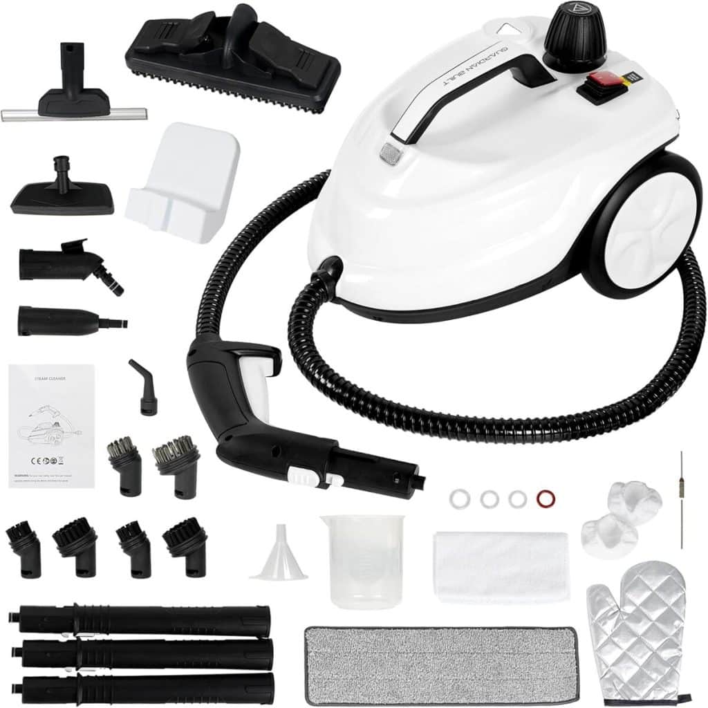 Test des nettoyeurs à vapeur efficaces