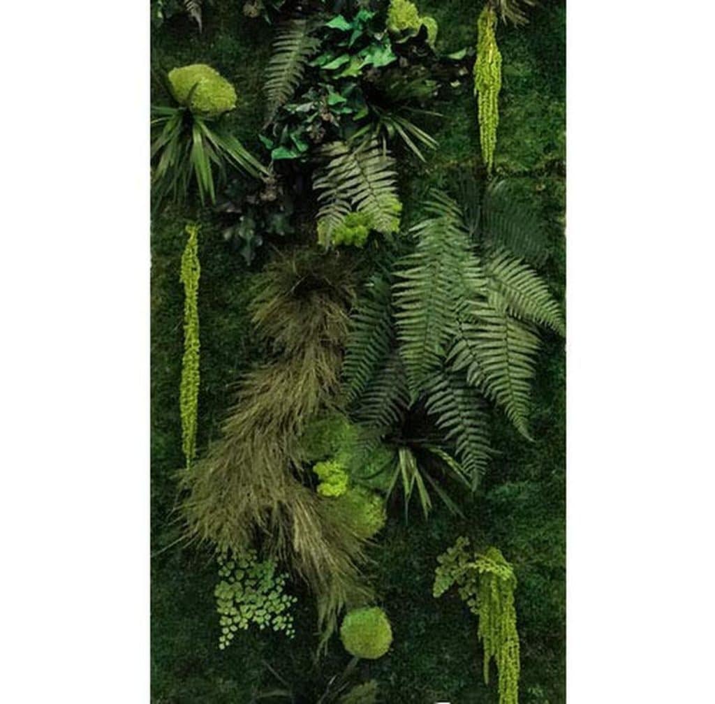 Avis sur le mur végétal stabilisé Jungle personnalisable : décoration murale durable et unique