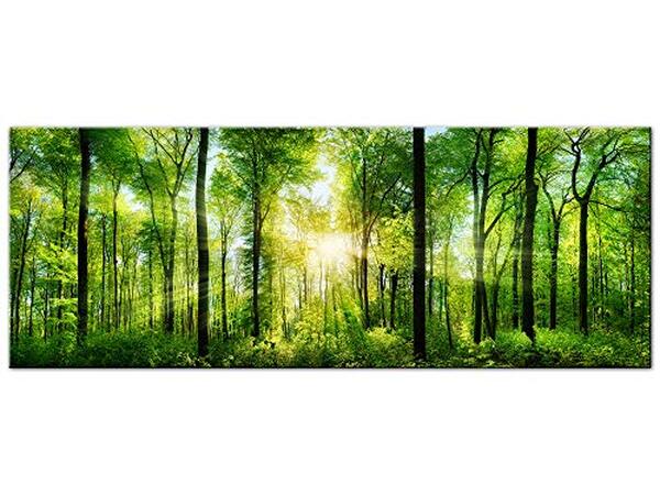 Découvrez notre avis complet sur le tableau design DECLINA forêt verte en verre acrylique : qualité, design et durabilité analysés en détail. 